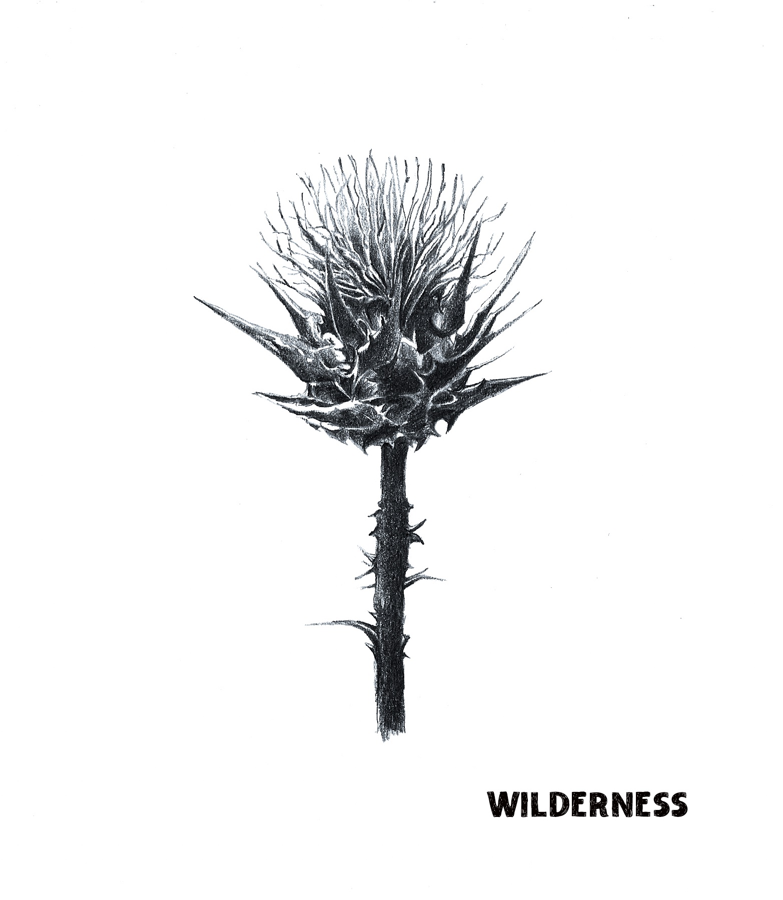 Wilderness